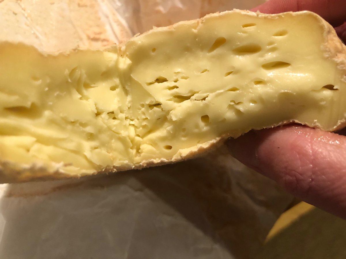 Regina Sexton tweet media