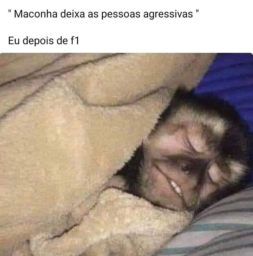 Chapo Do Chong (@chapodochong) on Twitter photo 