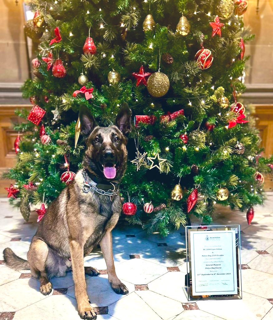 WarksPoliceDogs's tweet photo. After 13 weeks of training TPD Freddie became PD Freddie after successfully passing his licensing tests with his handler PC Felton.
A big Thank You to Mr Heathcote from @K999Cops for licensing the team.
Wishing #TeamFreddie lots of luck as they start as a new operational team. https://t.co/1KUFwWhQfw