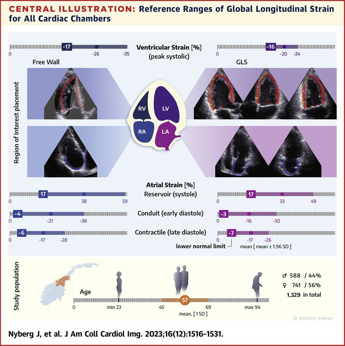 JACC Journals (@jaccjournals) on Twitter photo What’s the new normal? Updated #echofirst reference ranges for strain measurements for all four chambers adjusted for age, sex, & other clinical variables. bit.ly/484bNUq
#JACCIMG #cvImaging <a href="/john_nyb/">John Nyberg</a> <a href="/CIUS_NTNU/">CIUS</a> <a href="/ProCardio1/">ProCardioSFI</a> What’s the new normal? Updated #echofirst reference ranges for strain measurements for all four chambers adjusted for age, sex, & other clinical variables. bit.ly/484bNUq
#JACCIMG #cvImaging <a href="/john_nyb/">John Nyberg</a> <a href="/CIUS_NTNU/">CIUS</a> <a href="/ProCardio1/">ProCardioSFI</a>