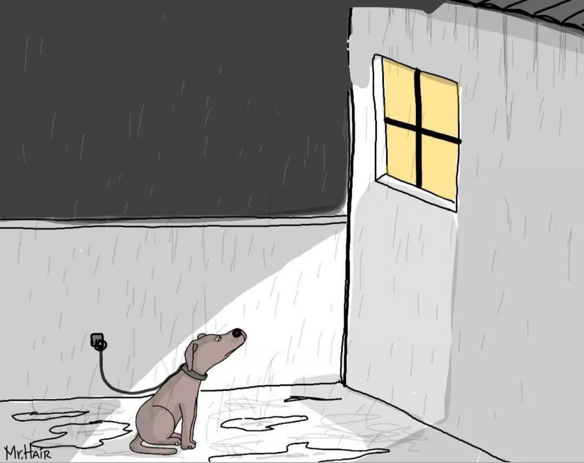 If you can't love a dog like a family member. Don't get one! ☹️