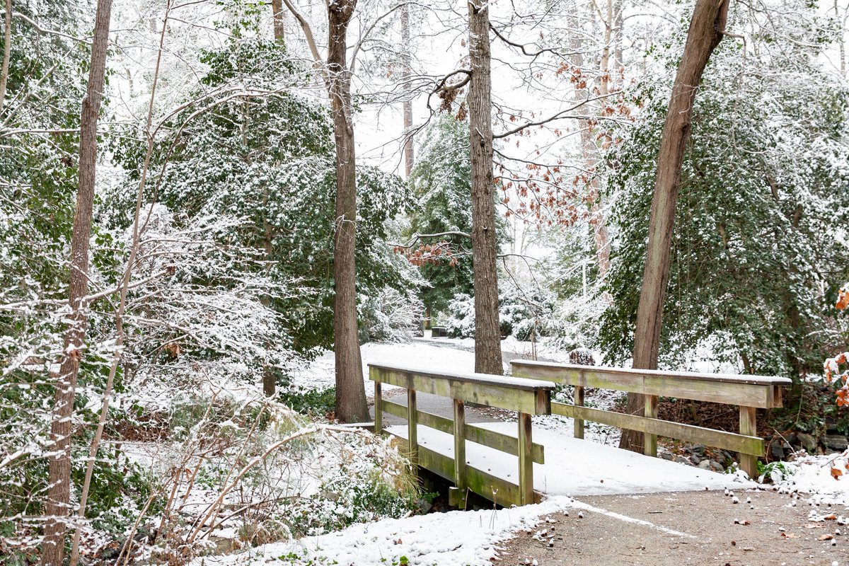 🎶Walking in a winter wonderland🎶 With winter right around the corner, we’re fondly contemplating how beautiful the Noland Trail looks covered in a blanket of snow. Such a magical sight! Who’s hoping we get a little snowfall this year?