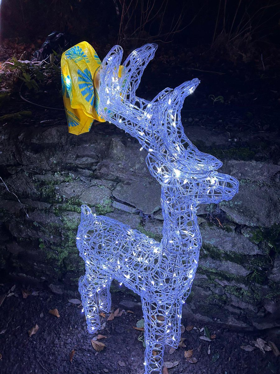 SanctuaryRunnersMallow tweet media