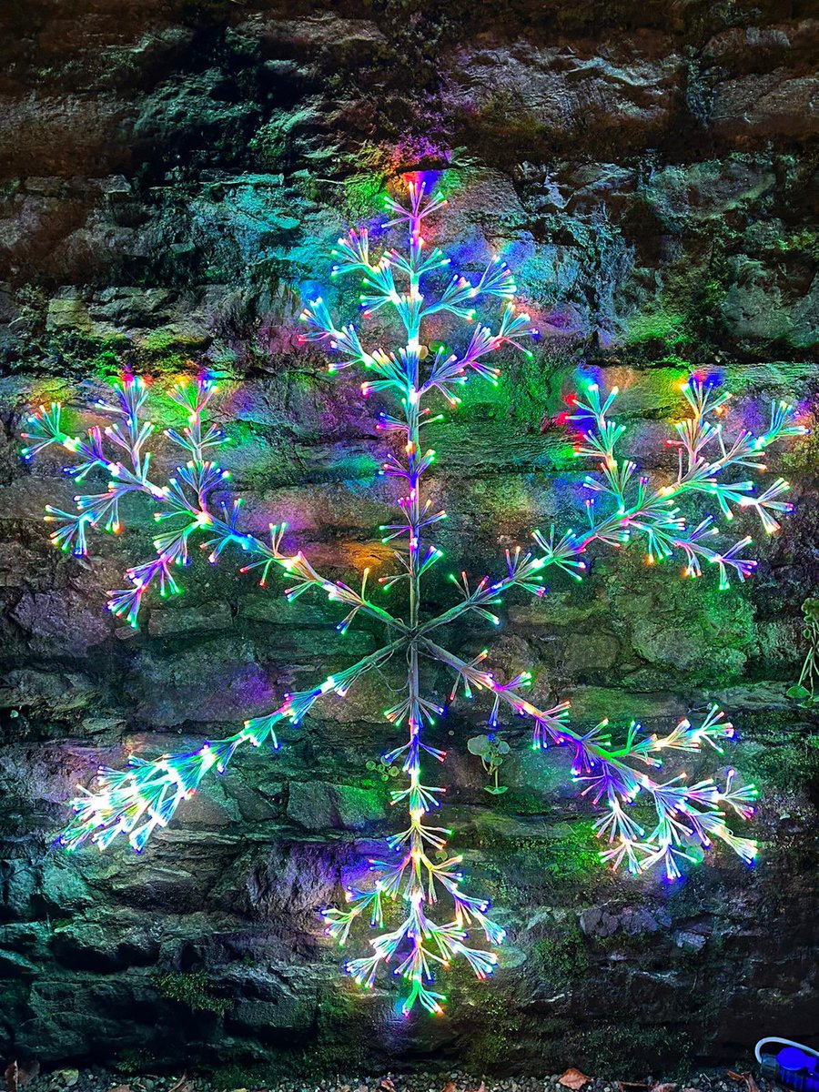 SanctuaryRunnersMallow tweet media