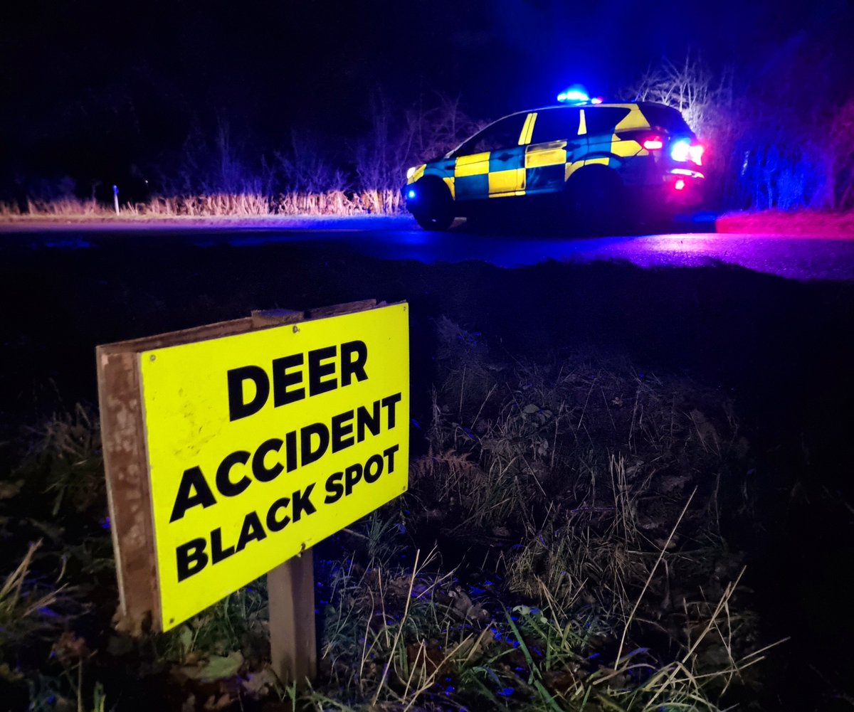 Two deer have been hit on Cannock Chase today. Unfortunately neither motorist stopped or contacted the Police.This meant that the animals were left to unnecessarily suffer until the ranger arrived. 

If you hit a deer PLEASE stop and call the Police on 999 and pass your location.