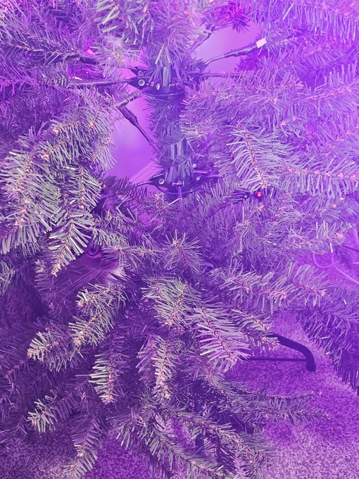 There is a cat in this photo, can you find her? https://t.co/dISHRs1RrQ<a href="/tag/starfield"class="tags"><span>#starfield</span></a>