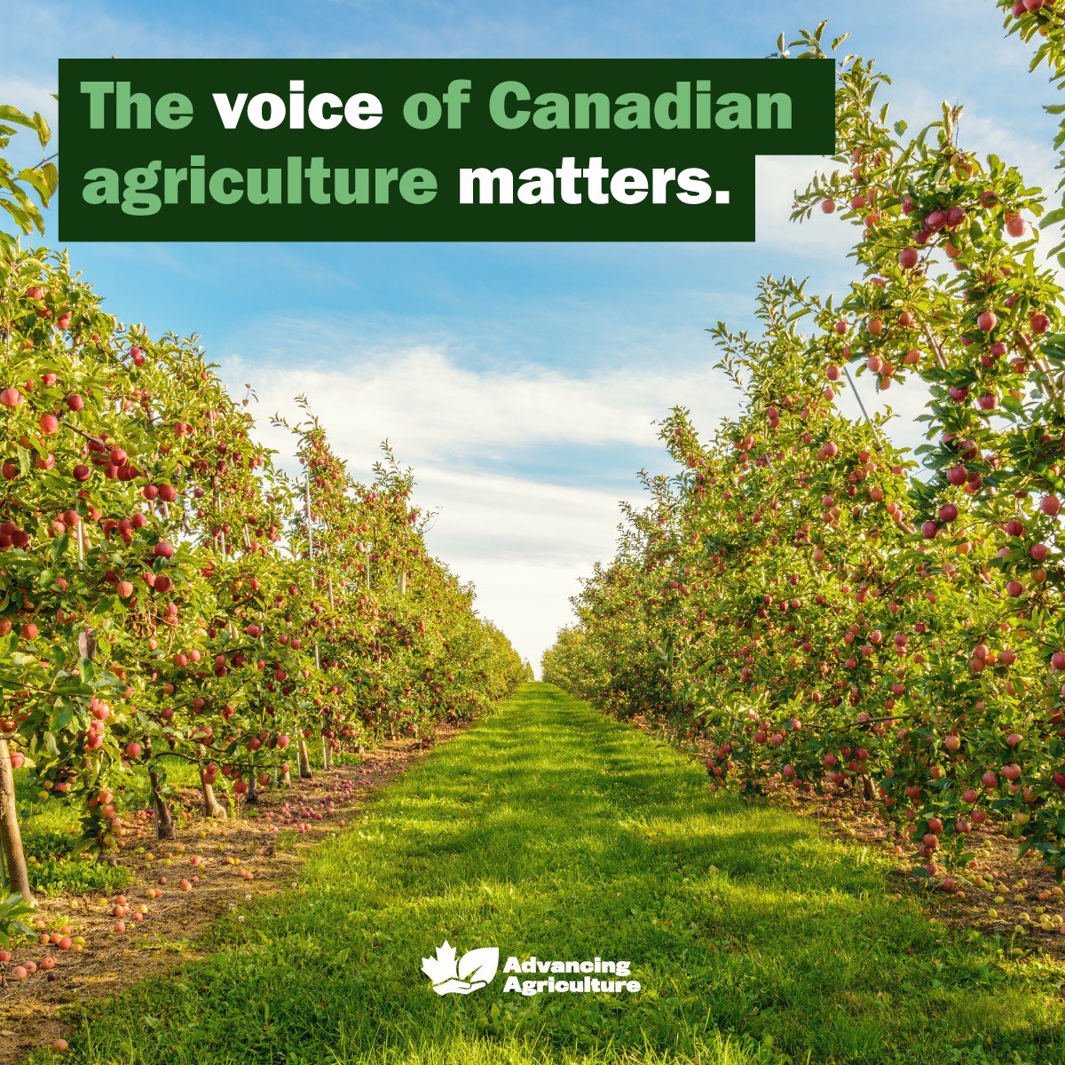 Canadian farmers are world-renowned as dependable suppliers of safe and nutritious food.
 
 #AdvancingAgriculture

Join us advancingagriculture.ca