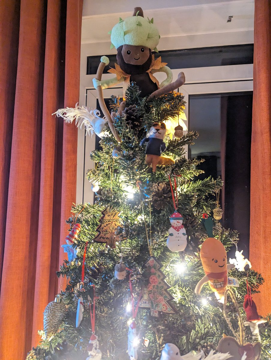 welshie84's tweet photo. The best tree topper @AldiUK https://t.co/whTRU41fq3