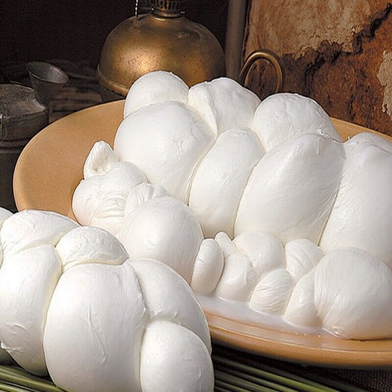 IanBlandThatsMe's tweet photo. Today we open the Cheese Advent Calendar door to find delicious buffalo mozzarella!
#AdventCheese https://t.co/ngoMI5dnEn