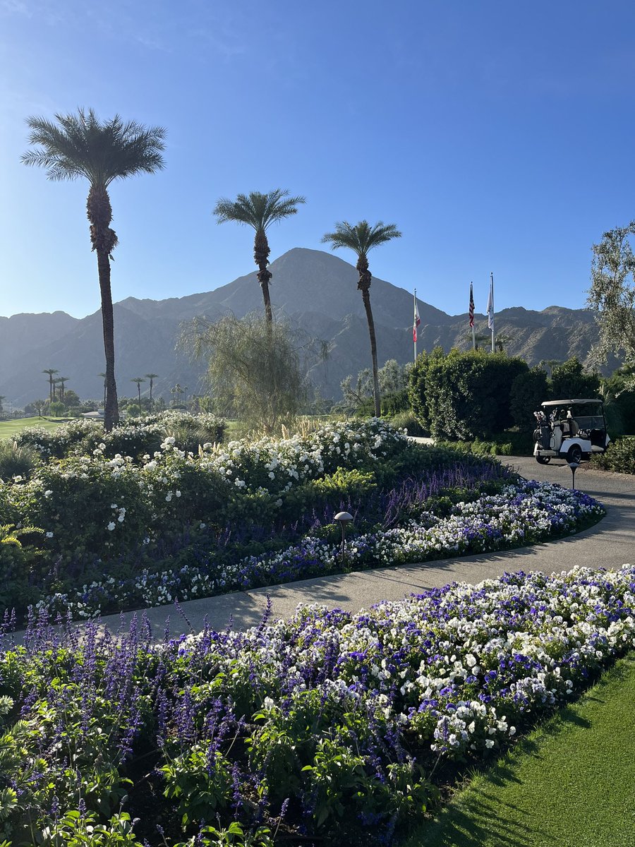 BlakeArthur24's tweet image. Eldo in December 🌴❄️⛳️🥶