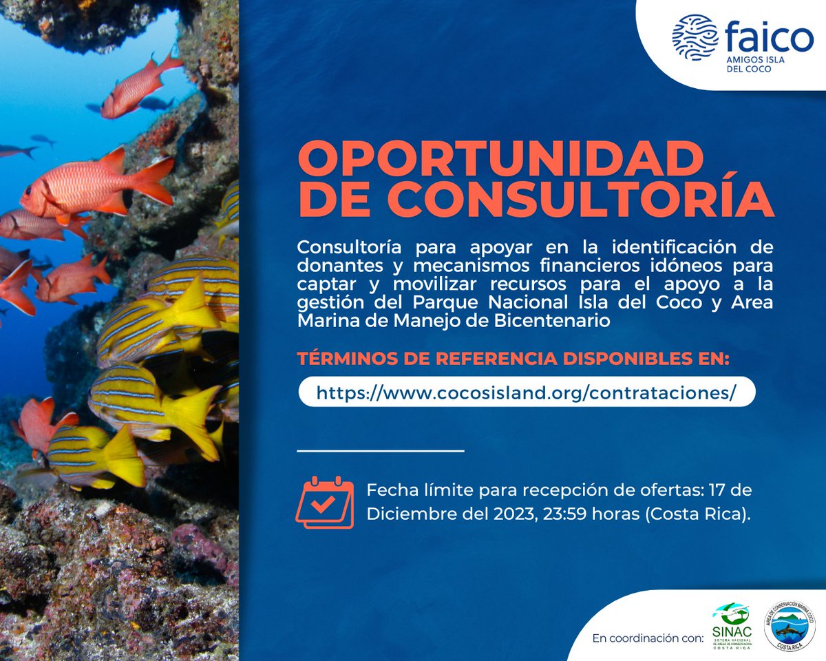 Amigos Isla del Coco (Faico) tweet media