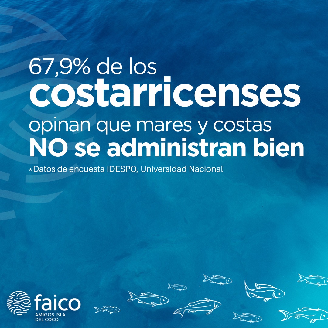 Amigos Isla del Coco (Faico) tweet media