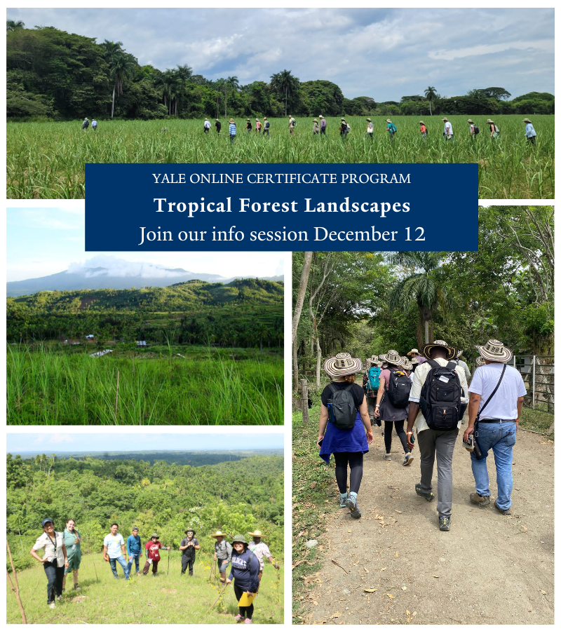 Thinking of applying to the 2024-2025 Tropical Forest Landscapes program or want to learn more? Join ELTI staff members at our upcoming information session on December 12, from 9:00-10:00am EST to hear about the program and ask questions! Register at: yale.zoom.us/webinar/regist…