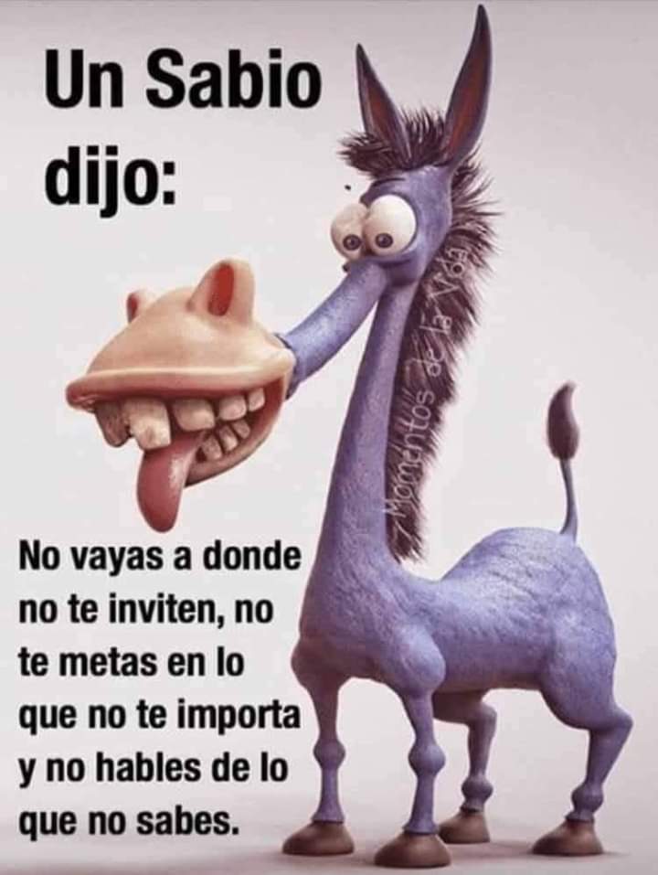 Leticia Aguilar (@pleticiaam) on Twitter photo 