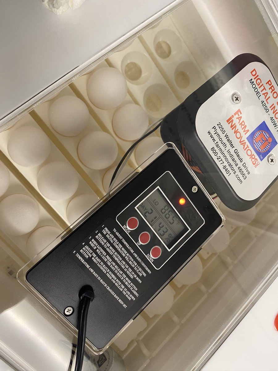 St. John the Baptist Parish 4-H tweet media