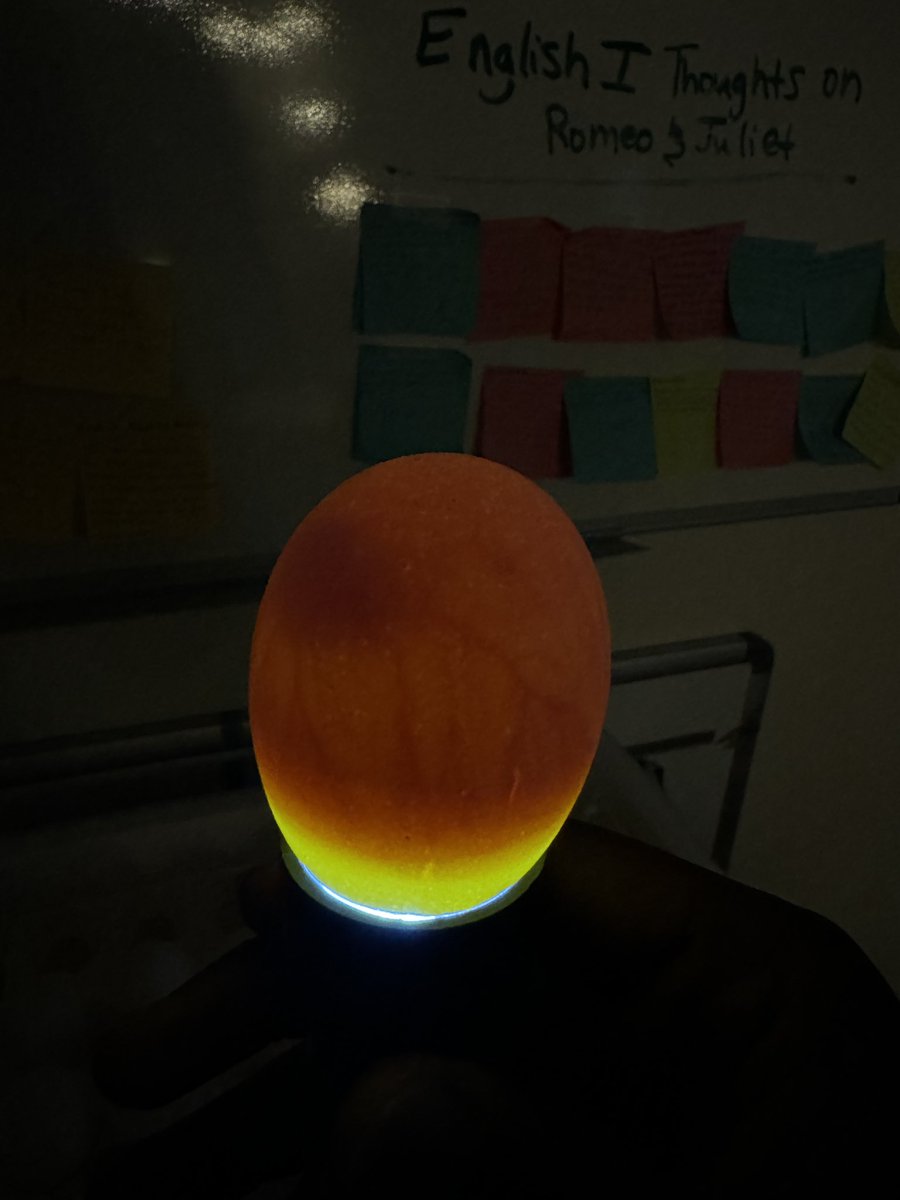 St. John the Baptist Parish 4-H tweet media