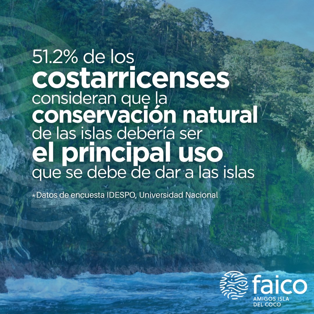 Amigos Isla del Coco (Faico) tweet media