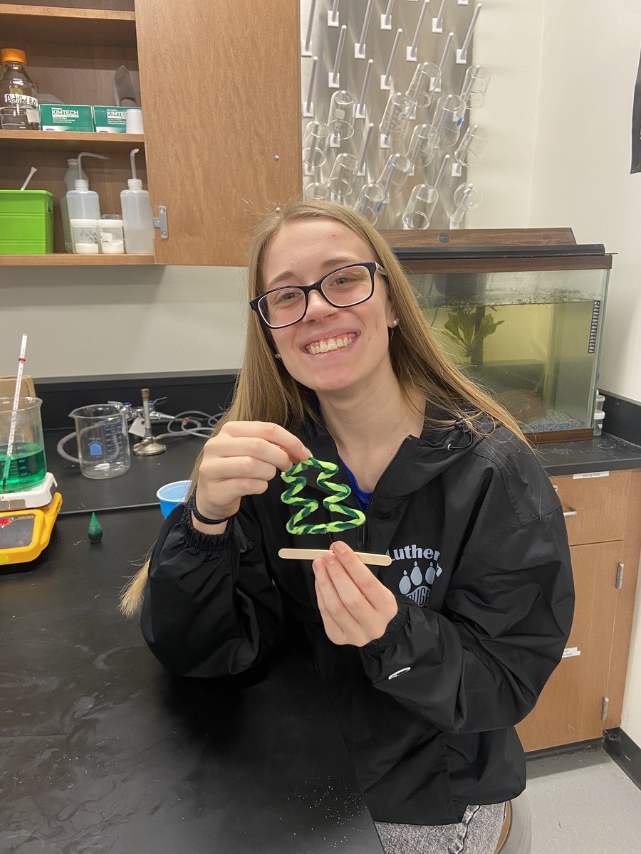 cougarchem's tweet photo. Cougar Chem tried their hand at Borax crystal ornaments today. Check back next week to see the final results!! 🧪 https://t.co/0epfsDEHem