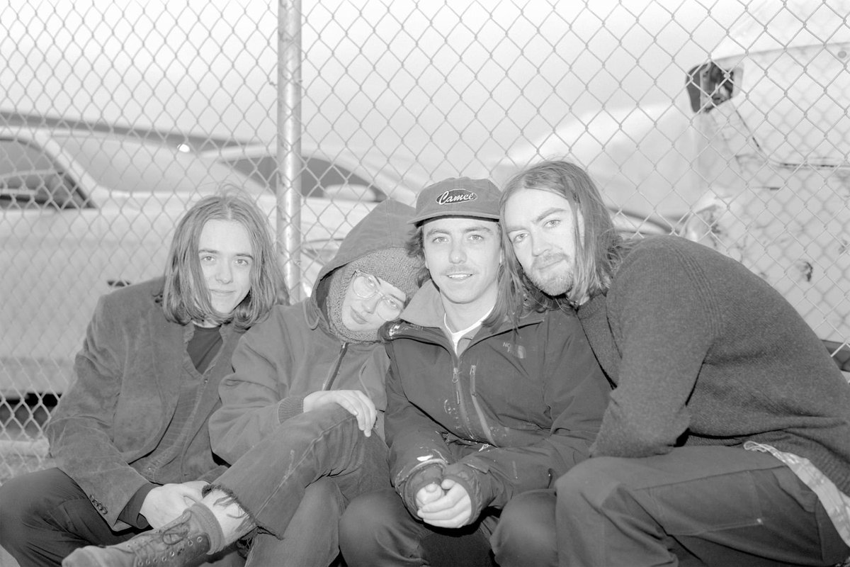 For The Rabbits tweet media