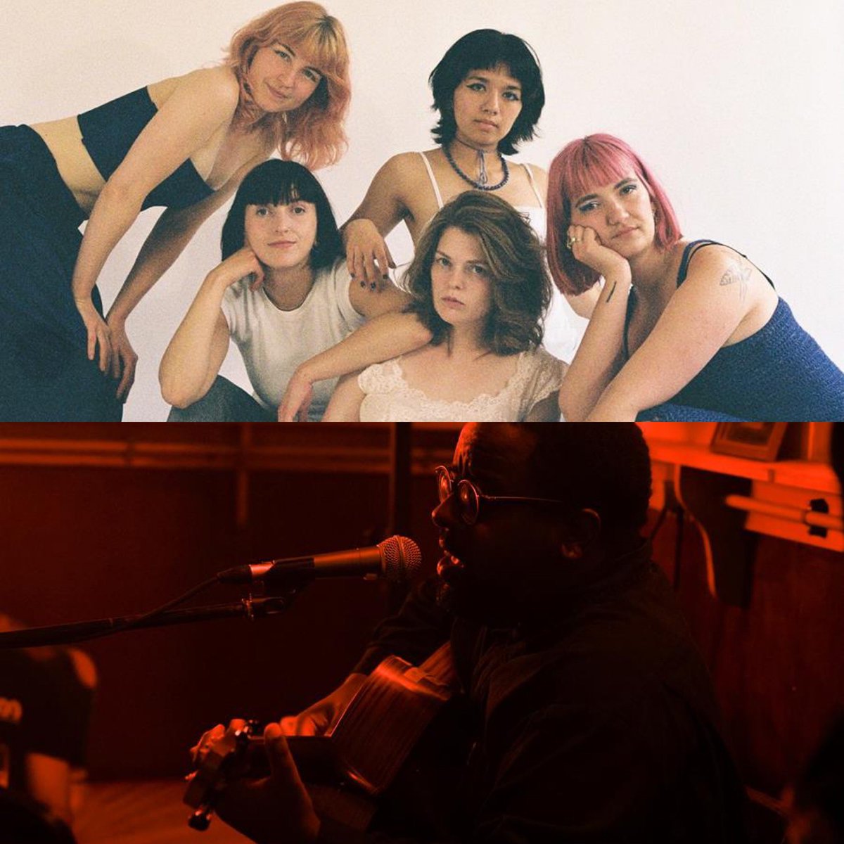 For The Rabbits tweet media