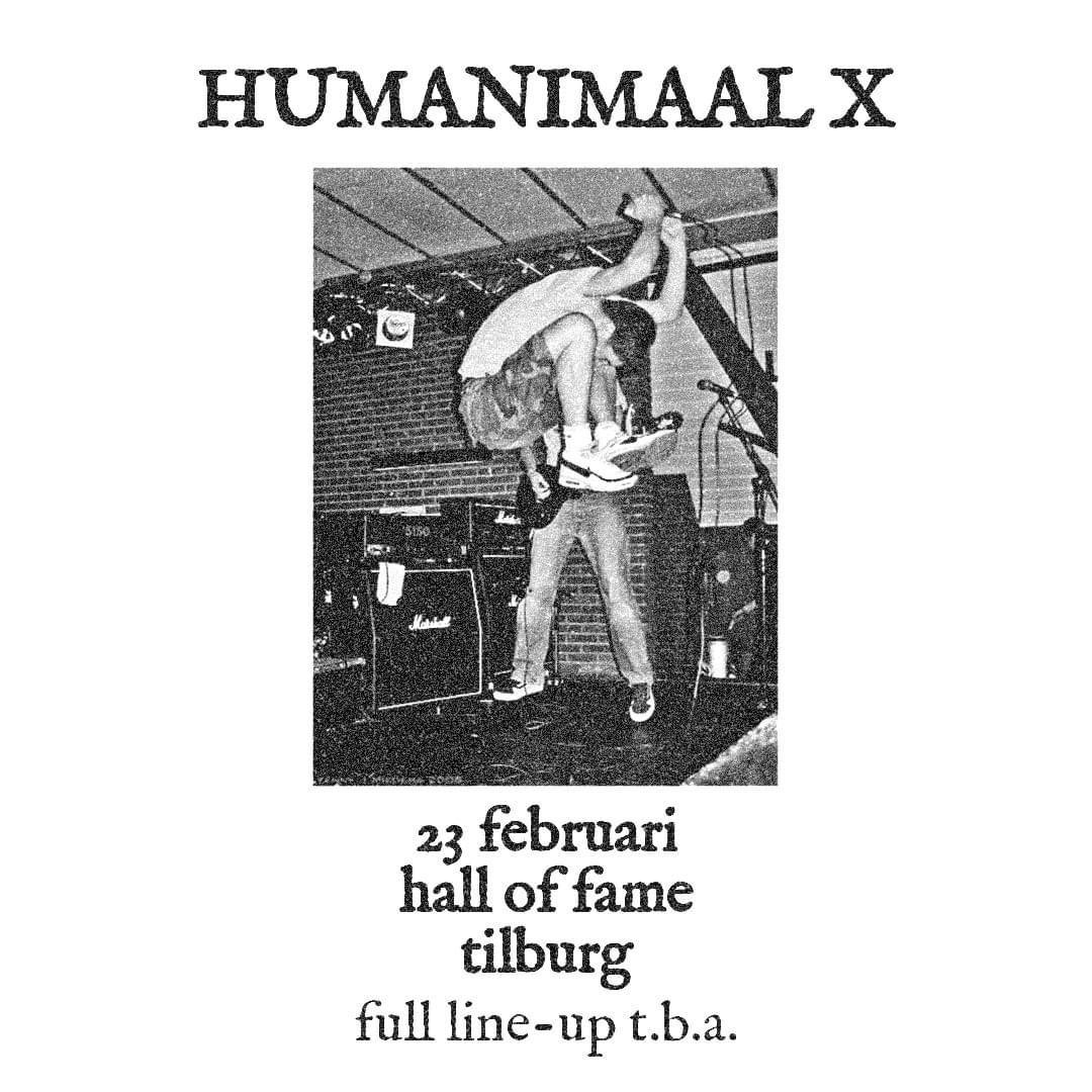 riekus van montfort tweet media