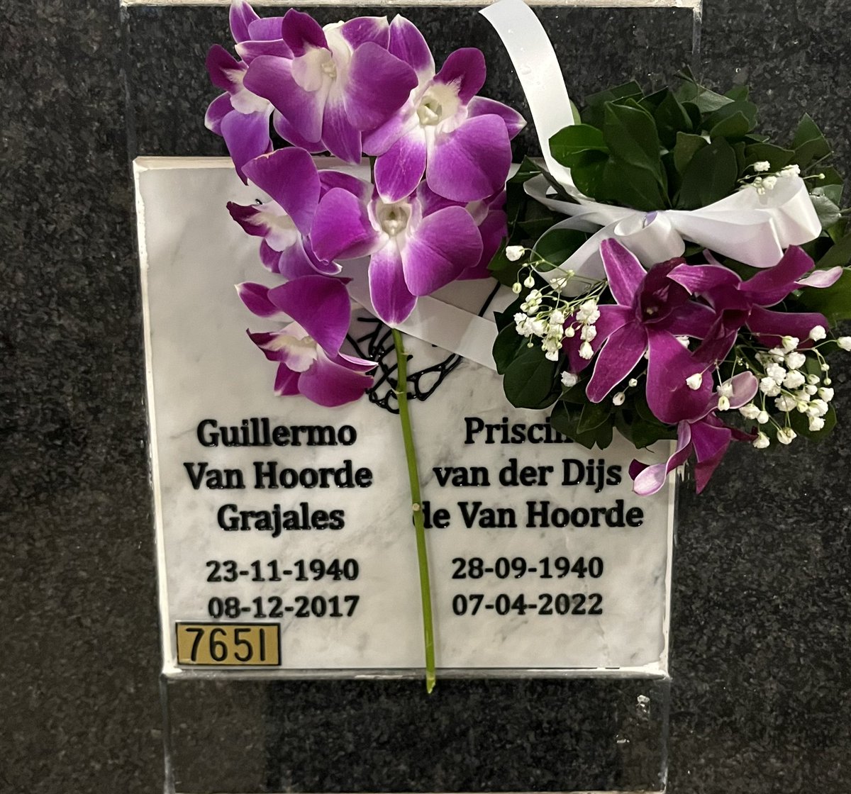 Roberto van Hoorde® tweet media
