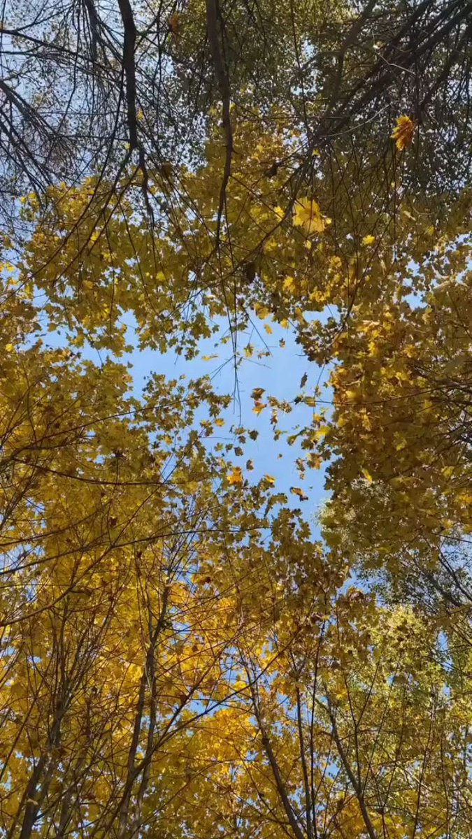 See ᱸdifferent ﾞscenery ‍and ᠍have ᠍a ⳿good mood.