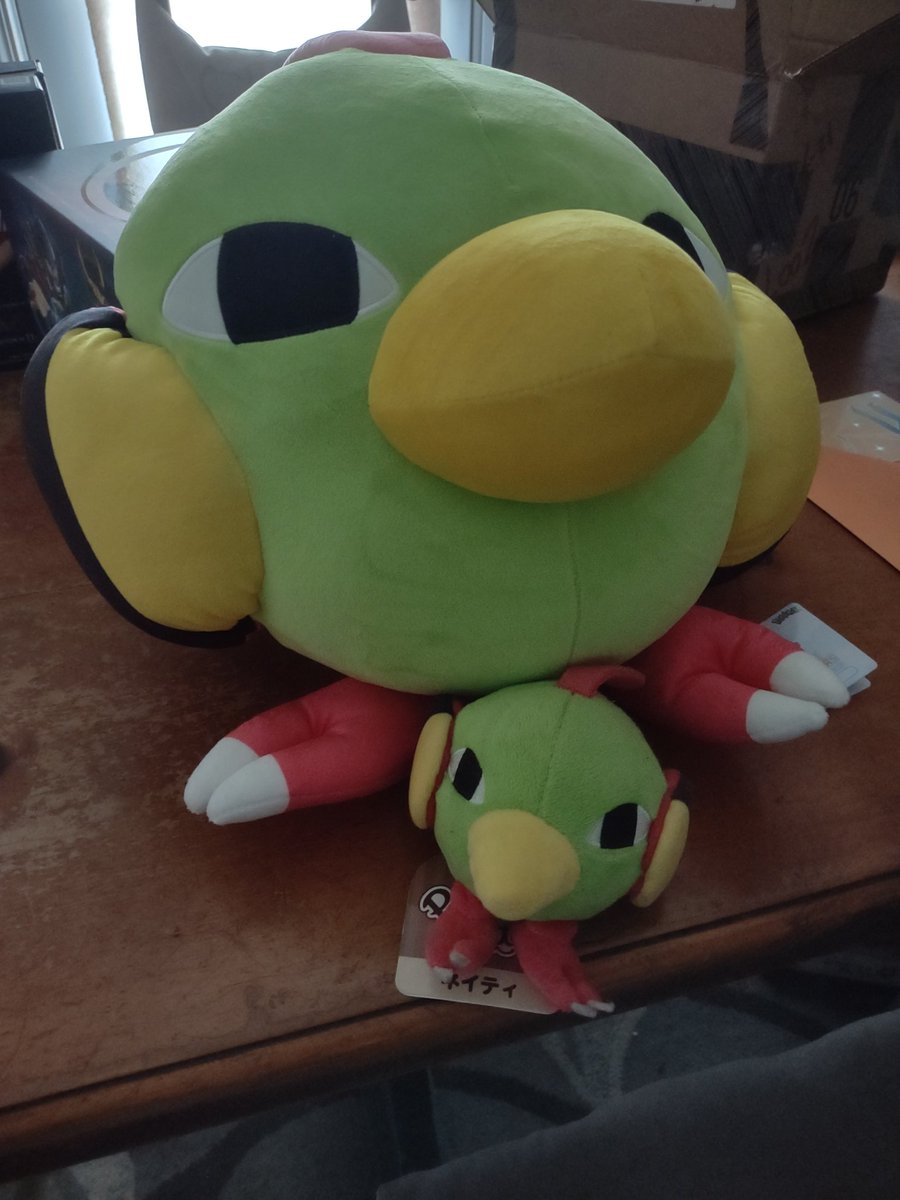 DapperBasil's tweet image. THE BIGGEST BOY IS HERE (pictured with the sitting cuties natu)