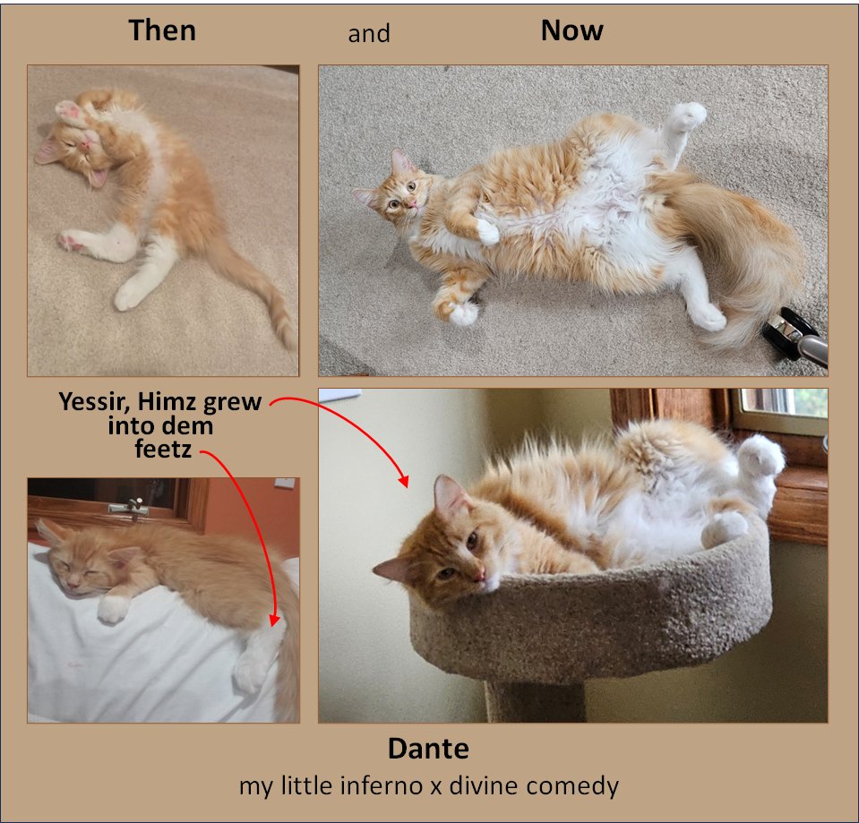 A year ago today ...

#cats