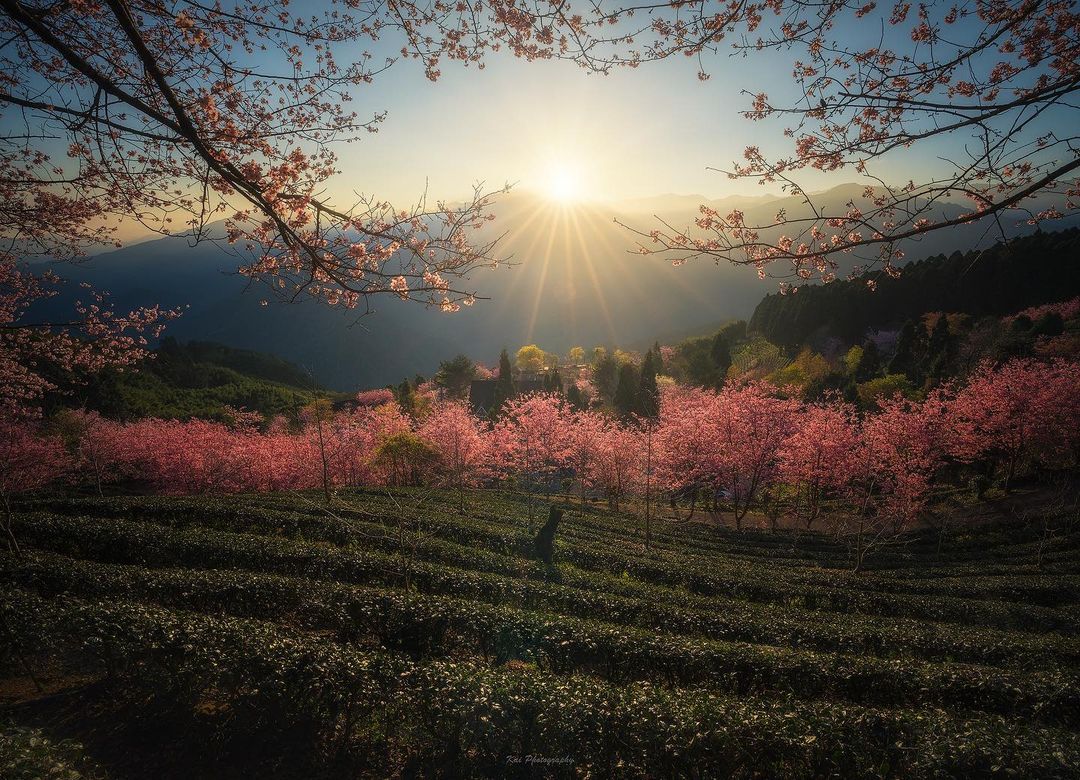 In ᠎this ﾠlife, ⳿every ‍journey ᠍is a ᠎scenery, ﾠand ﾞevery ᠍thought  can ﾠbe ‍calm.