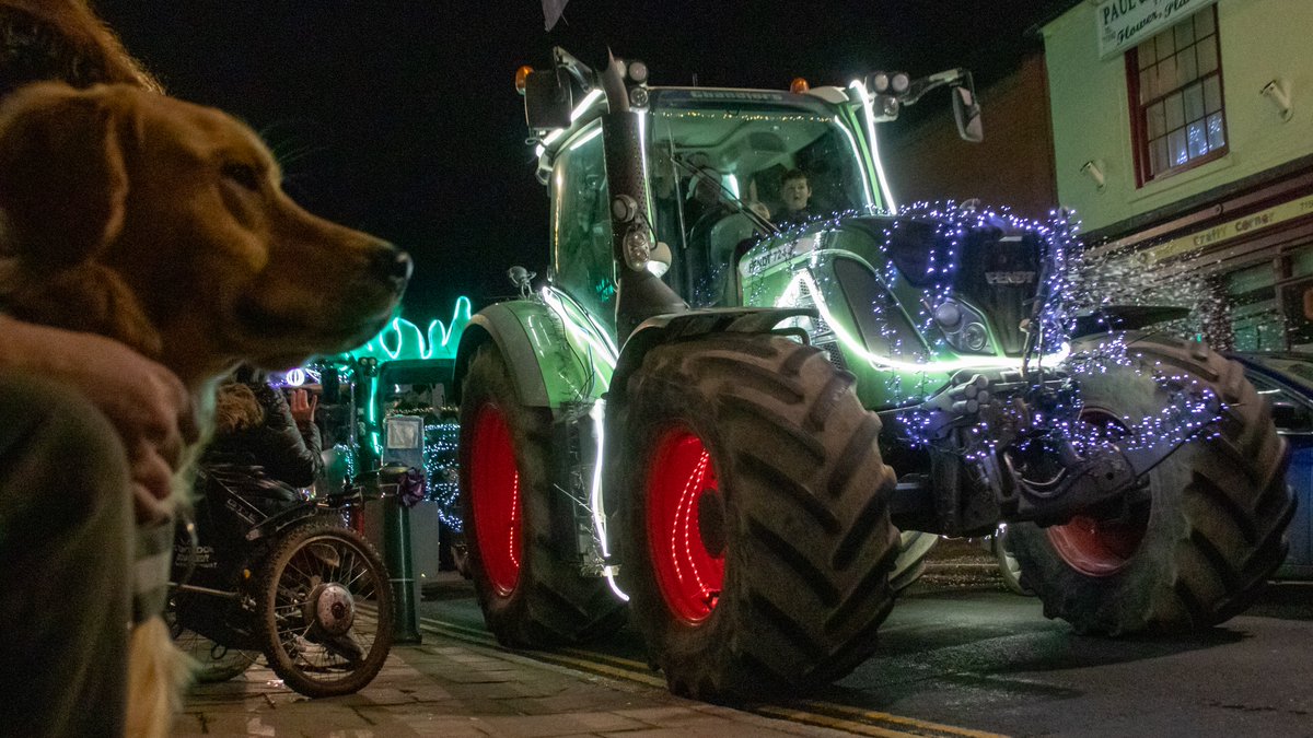 Finlay sat watching the #SheepyTractorRun in #Atherstone. #GoldenRetriever #RedMoonshine #ChristmasLights #Tractors #Farming #BoatsThatTweet