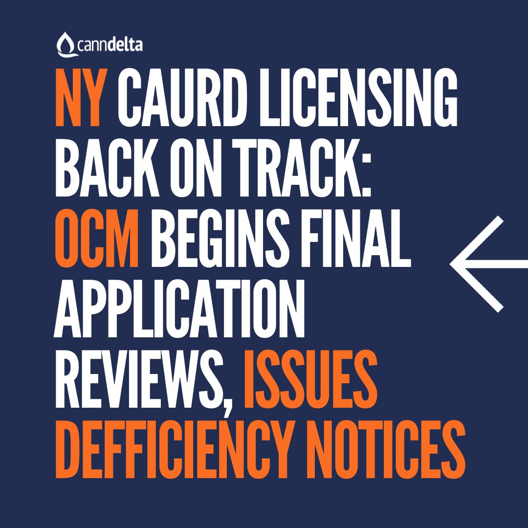 CannDelta's tweet photo. NY's CAURD cannabis licensing is back! OCM issues urgent deficiency notices. Deadline for dispensary locations: Dec 18. Temporary Delivery Licenses extended to end of 2024. Starting a cannabis biz? CannDelta can help with your CAURD application. #CannabisIndustry #newyorkbusiness https://t.co/idcglTmltb