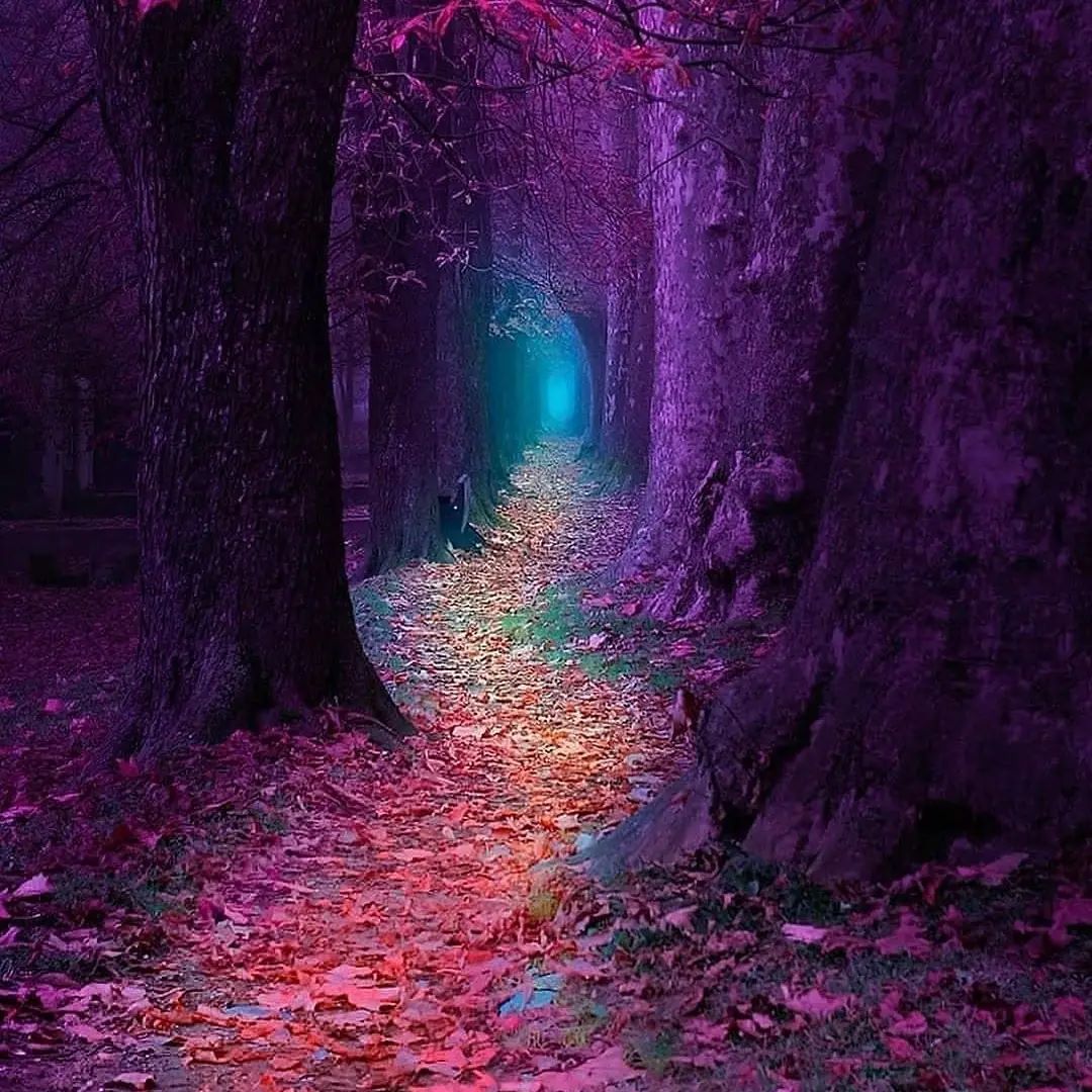 This ᠍world ﾞis ᠎better ‍than ᠍you ᠎think.