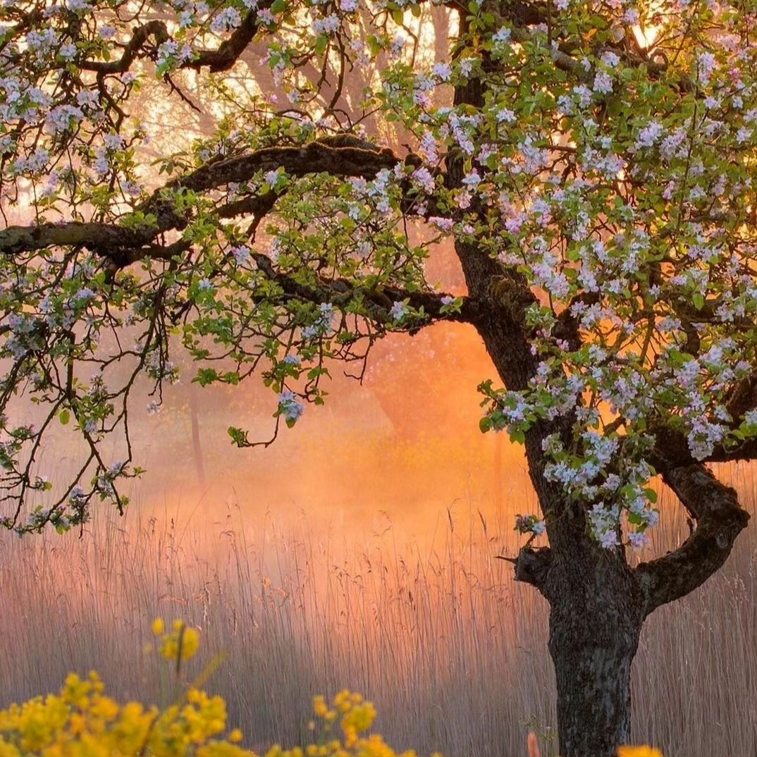 When ﾞyou ﾞcome ᠎to ‍this ᱸworld, ᠎you ⳿must ᠍make  an ᱸeffort ᠎to see ᱸmore ⳿scenery.