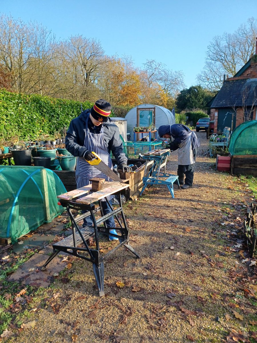Beautiful winter sunshine at Jubilee Lodge today.