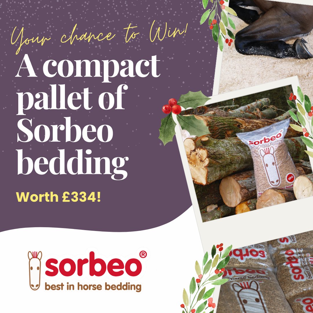 Fancy winning a Compact Pallet of <a href="/sorbeobedding/">Sorbeo Horse Bedding</a> worth £334? For your chance to get stocked up on premium wood pellet bedding enter here - horsemart.co.uk/12-competition…