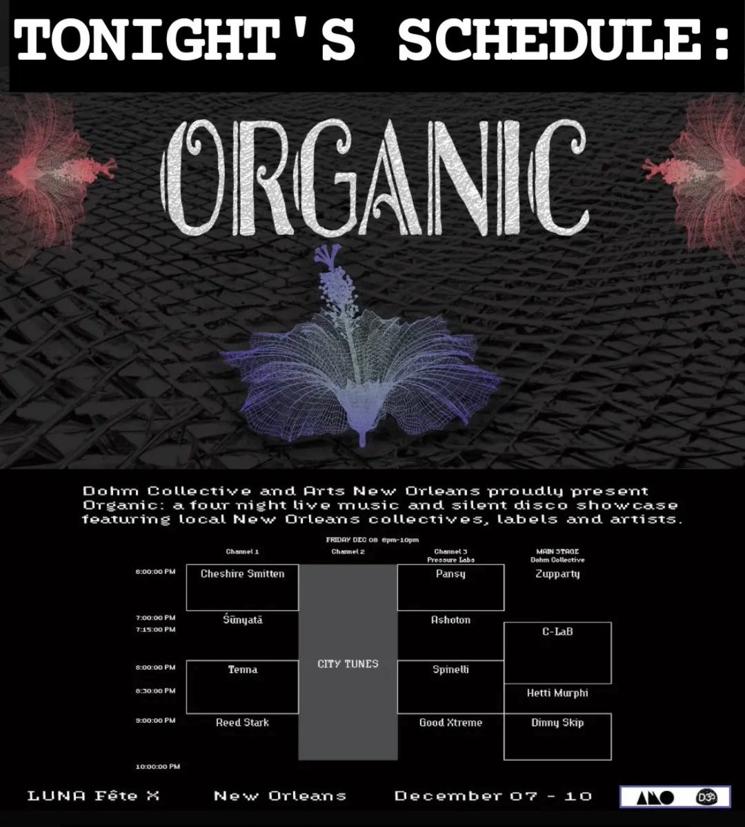 Dohm Collective tweet media