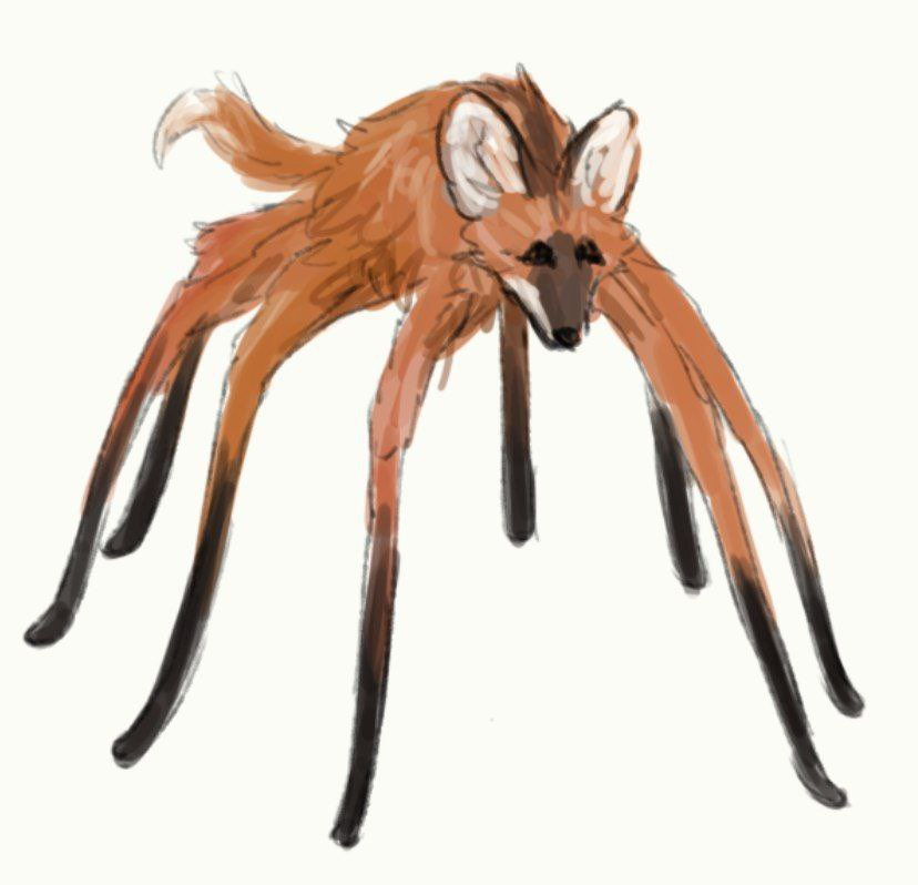 longboieli's tweet photo. leggy irl https://t.co/9oa0gn6orB