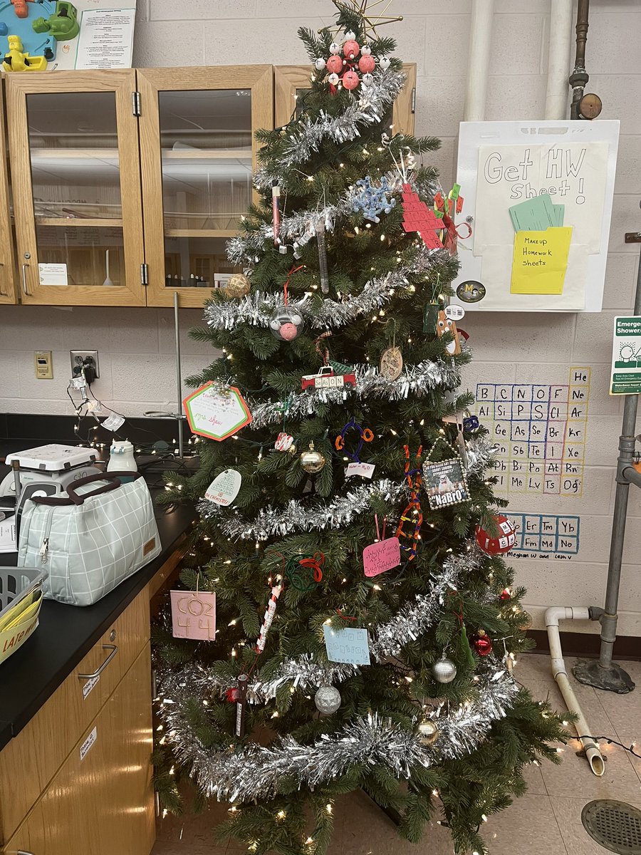 Susan Pasqualone tweet media