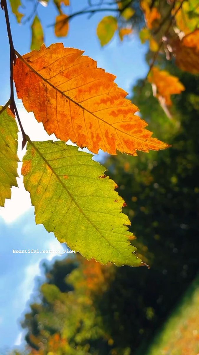 Take a ᠍detour ⬝and see ﾠthe ⳿scenery ᱸyou ⳿may ‍have ﾠnever seen ᠍before