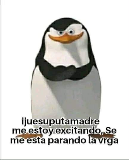 IMSNXGM's tweet photo. @nordehartet Enseña a crear como tú 🗣️🗣️🔥🔥 https://t.co/Vipuq1SP5c