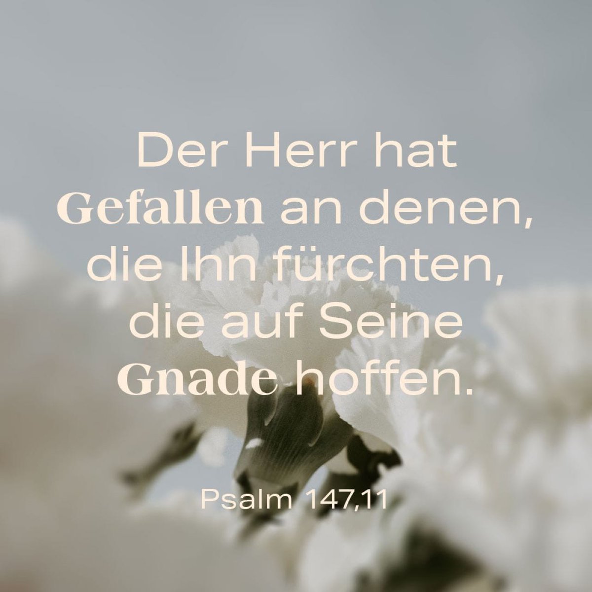 giulli1965's tweet photo. So überwinden Sie Bildungsungleichheit und schaffen Chancengleichheit für alle Schüler! 
Lernen mit System: 
Geniale Lernstrategien für bessere Noten - Mit neuen Lerntechniken das volle Potential entfalten

Von David Jung 
https://t.co/EUdQrdcOGC

#Giulli2016 https://t.co/kIvsi4kZeR