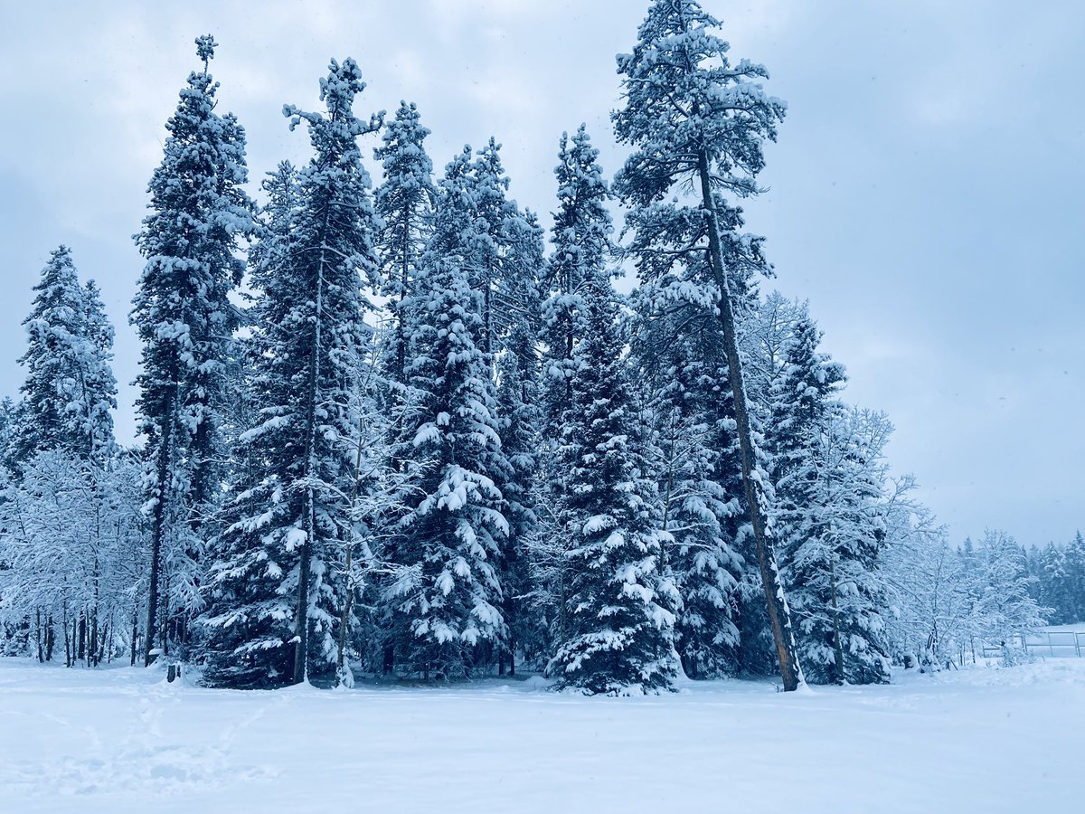 jill winters tweet media