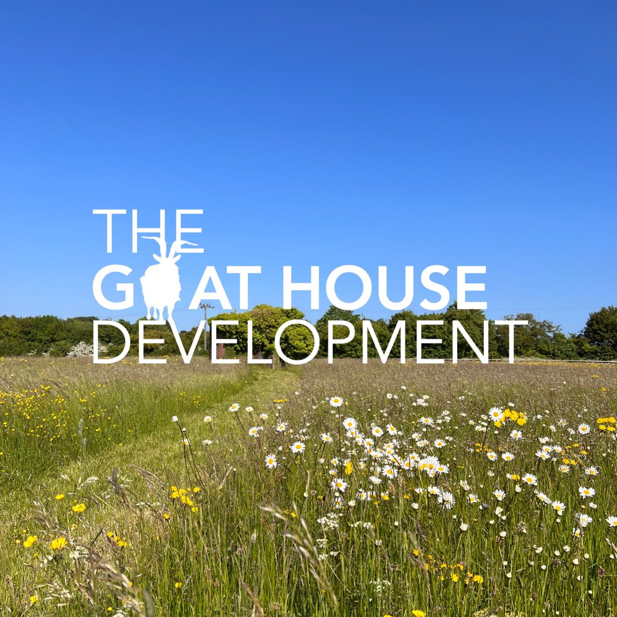 BCArchitect's tweet photo. Planning permission granted. Three design led sustainable self build plots coming to market in Spring 2024. Find out more at https://t.co/UE5lv2cmXu

#granddesign #architecture #selfbuild #granddesign #interiordesign https://t.co/Ky0ntn271f