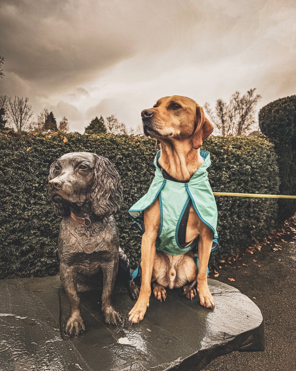Bald_Alan's tweet photo. Jack, showing Max how to pose https://t.co/ZyVoeCEGsu