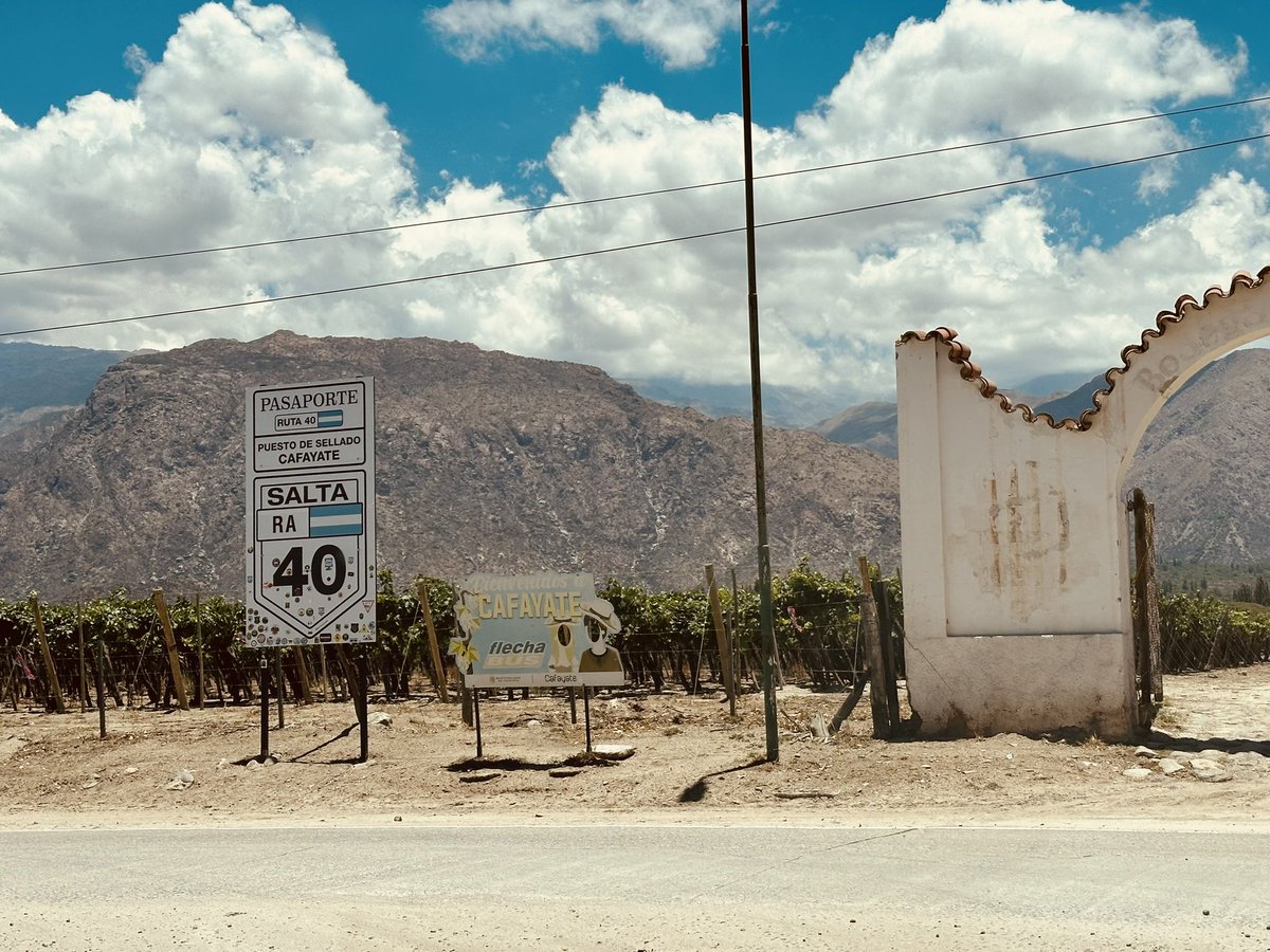 dra_rocks's tweet photo. les chusmeo mi viaje a Salta con datos y $, Es lo que yo hice, cuento mi experiencia, reclamos de 8 a 11 los 29/2

Viaje por el bondi volador por 2 mangos pero tenia los pasajes hace meses. Alquile auto en el aeropuerto 17 lucas x dia. Llegue y fui a Cafayate unas 3 hs d ruta https://t.co/Wrki0Ud4jr