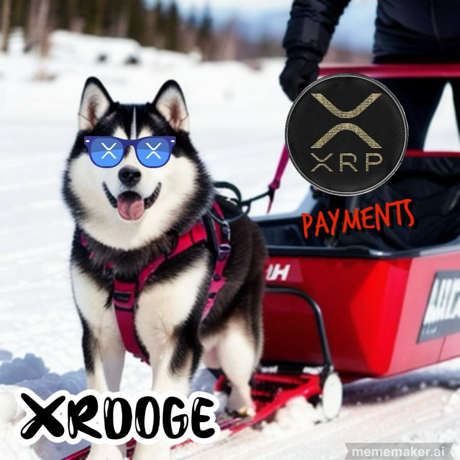 Blockcastcc's tweet image. Maybe #xrdoge?