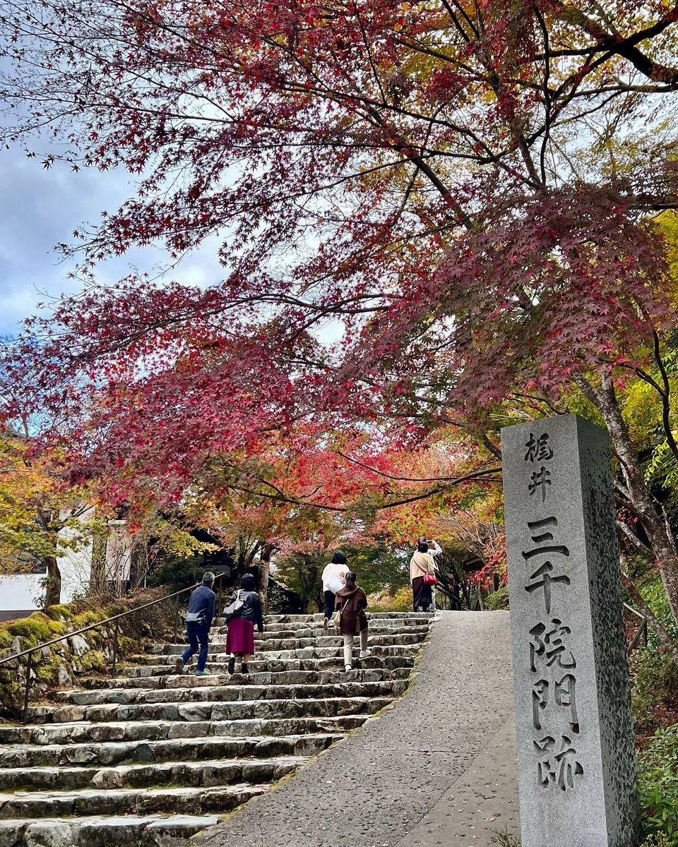 AetLu's tweet photo. ゲスト登録は
こちら／ https://t.co/bf3hHvJ6OB

#京都案内
#京都観光
#出張
#アテンド
#ゲスト
#マッチング
#情報誌 
#出会い
#新しい働き方
#学生バイト
#一緒に行こう
#時間管理
#支払い管理
#クレジットカード決済対応 https://t.co/2Sqcc5yNkF