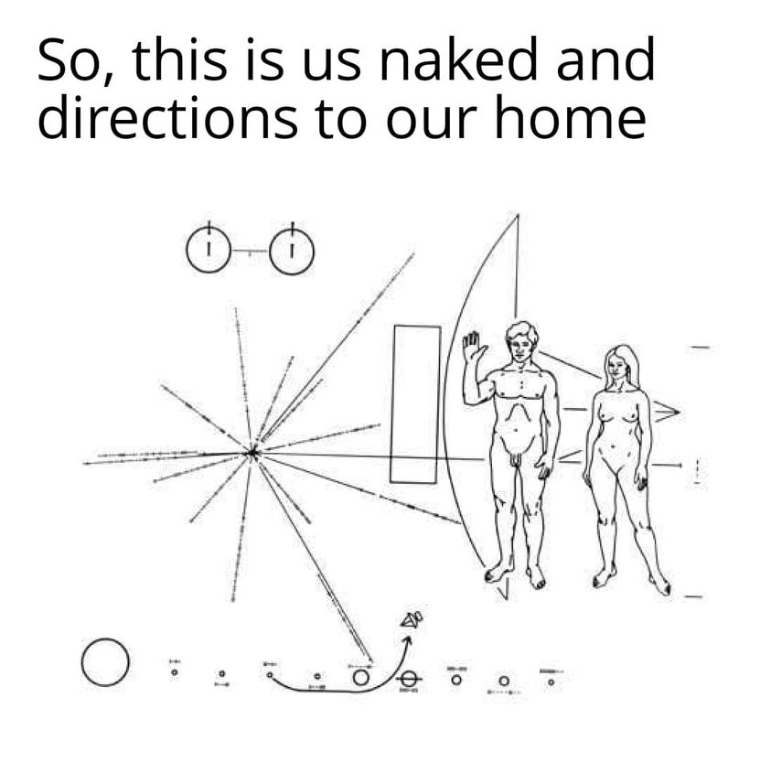 NZMAGAMike's tweet photo. Great information. We should shoot it out into space. I am sure anyone finding it will be friendly and some how know there are infinite genders on Earth. #TransphobicAF https://t.co/vq9sZ8UNAx