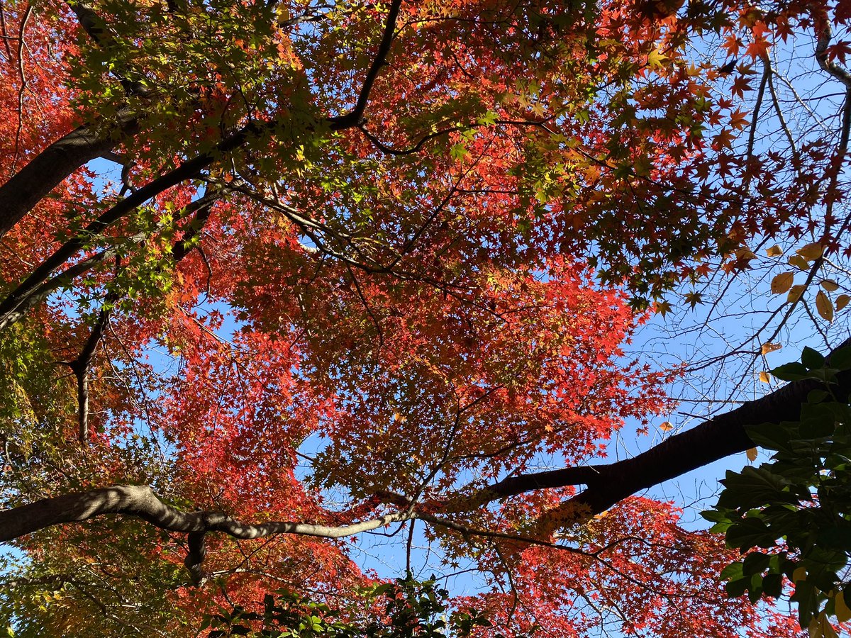 naohiro_fuji's tweet image. おはようございます、
そしてこんにちは😃
週末は新曲の制作‼️
andアートワーク🎨
#Compositing #mix #Arranging 
#新曲制作